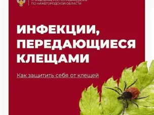 Об эпидемиологической ситуации по инфекциям, передающимся клещами.